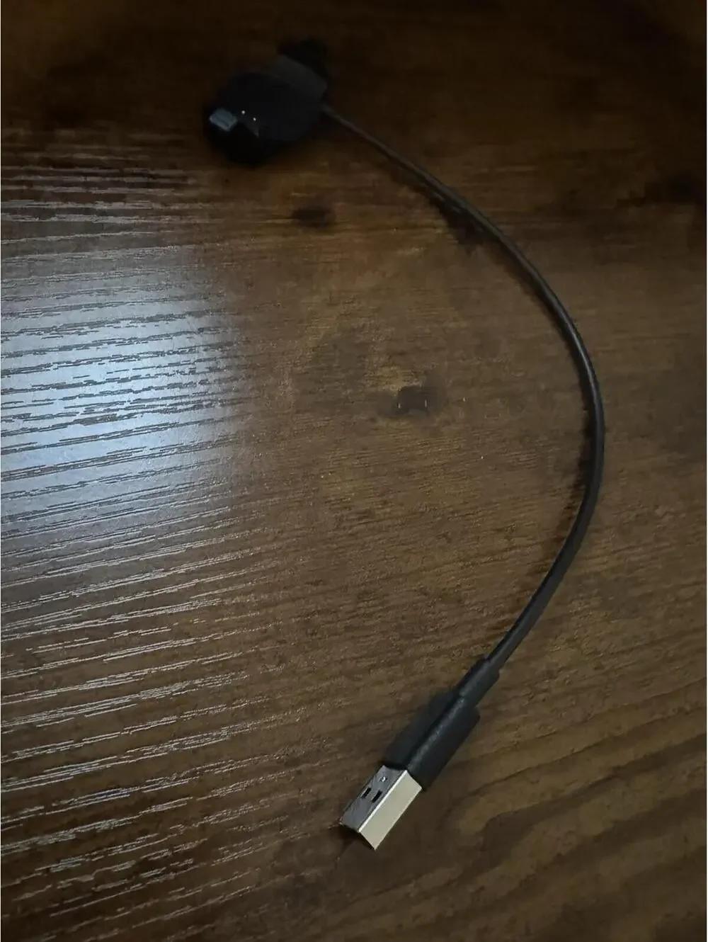 Disney magic band plus charger